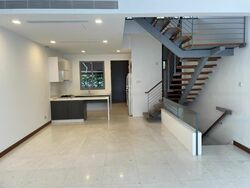 Radiance @ Bukit Timah (D21), Terrace #474723861